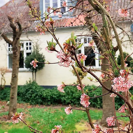 Prázdninový dům 6 Person In Soby Aero-by Traum Havrekobbel