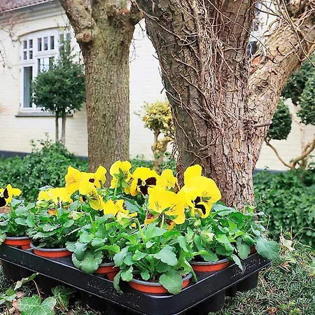 6 Person In Soby Aero-by Traum بيت للعطل