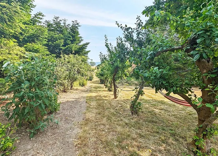 6 Person In Soby Aero-by Traum Havrekobbel