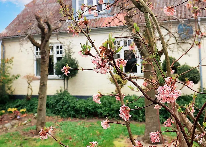 Casa de Férias 6 Person In Soby Aero-by Traum Havrekobbel